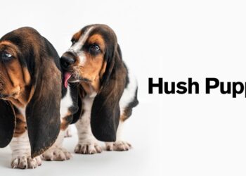 Hush Puppies: Casual Shoes, Boots, & Dress Shoes