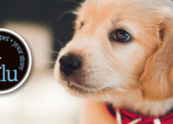 Pet Valu Canada | Essential and Innovative Pet Supplies