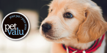 Pet Valu Canada | Essential and Innovative Pet Supplies