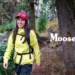 Moosejaw | Premium Outdoor Apparel & Gears
