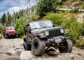 Gear Up for Off-Road: 10 Essential Supercheap Auto 4WD Accessories