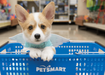 PetSmart: Your One-Stop Shop for Premium Pet Supplies, Accessories, and Nutritious Pet Food