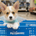PetSmart: Your One-Stop Shop for Premium Pet Supplies, Accessories, and Nutritious Pet Food