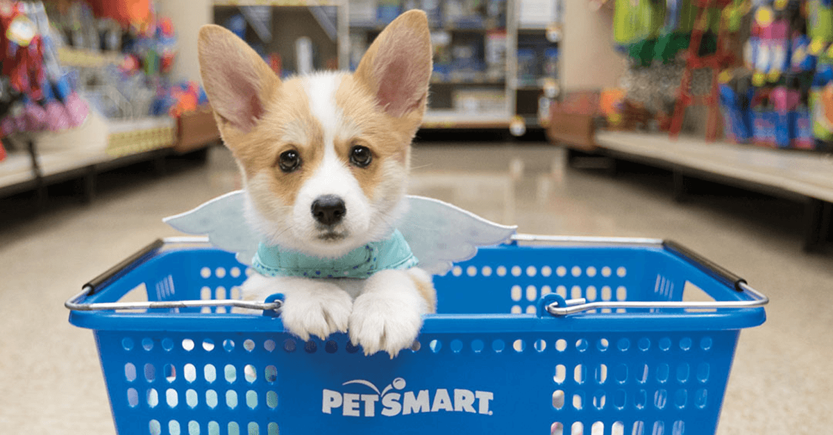 PetSmart: Your One-Stop Shop for Premium Pet Supplies, Accessories, and Nutritious Pet Food