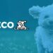 Petco: From Premium Nutrition To Trusted Vet Care
